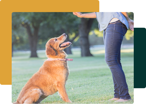 ACT Landing Page Image 5